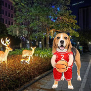 Dog Basketball Costume – Funny Halloween Sports Outfit for Small Dogs