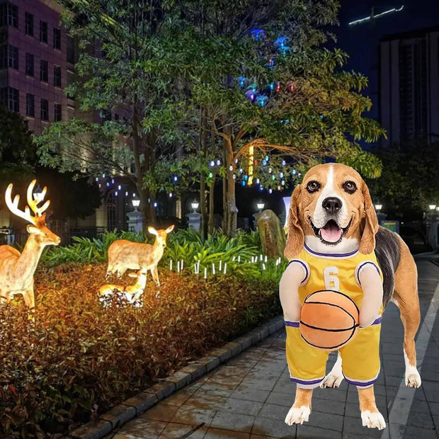 Dog Basketball Costume – Funny Halloween Sports Outfit for Small Dogs