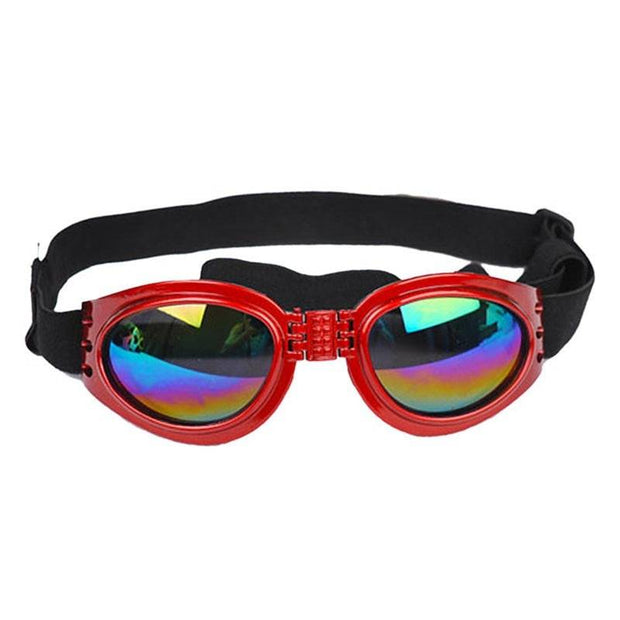 Pet Sunglasses – Stylish Glasses & Sun Visor for Dogs and Cats