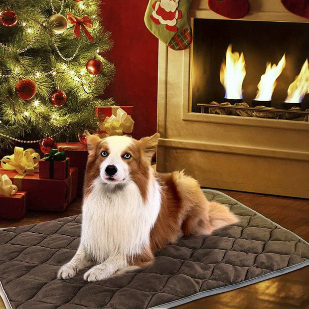 Automatic Warming Pet Bed for Joint Relief
