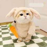 Cat dressed in rabbit costume with leash and plush carrot

