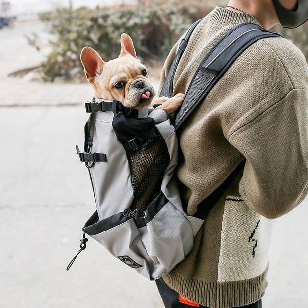 Gray Double Shoulder Dog Carrier Backpack with mesh sides, shown worn on back carrying a small French Bulldog. Ideal for pet travel and outdoor use.