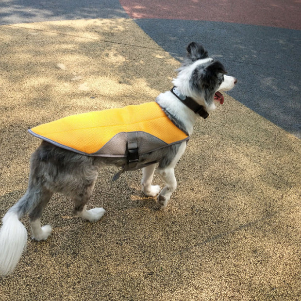 Summer Dog Cooling Vest – Breathable, Lightweight Heat-Relief Jacket for Pets