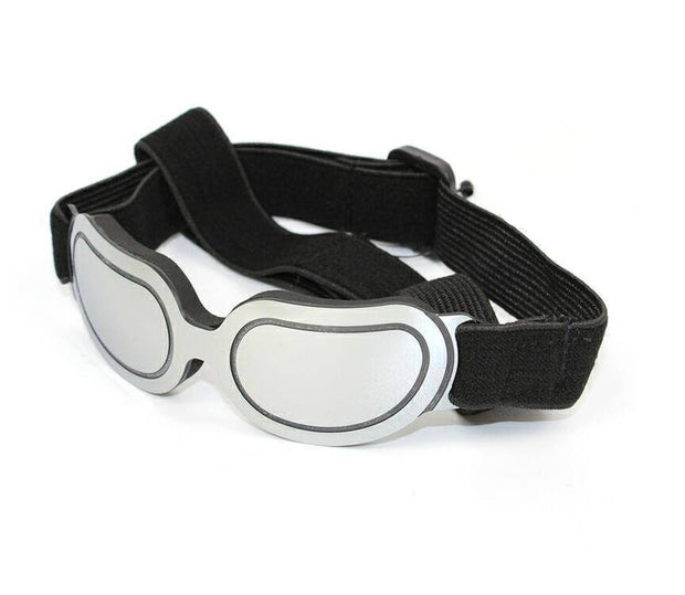 Colorful Pet Sunglasses – Fun and Stylish Glasses for Dogs & Cats
