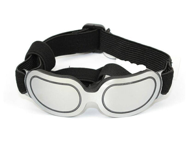 Colorful Pet Sunglasses – Fun and Stylish Glasses for Dogs & Cats