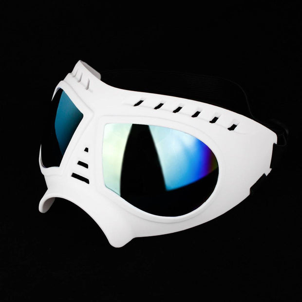 Colorful Pet Sunglasses – Fun & Stylish Glasses for Dogs and Cats