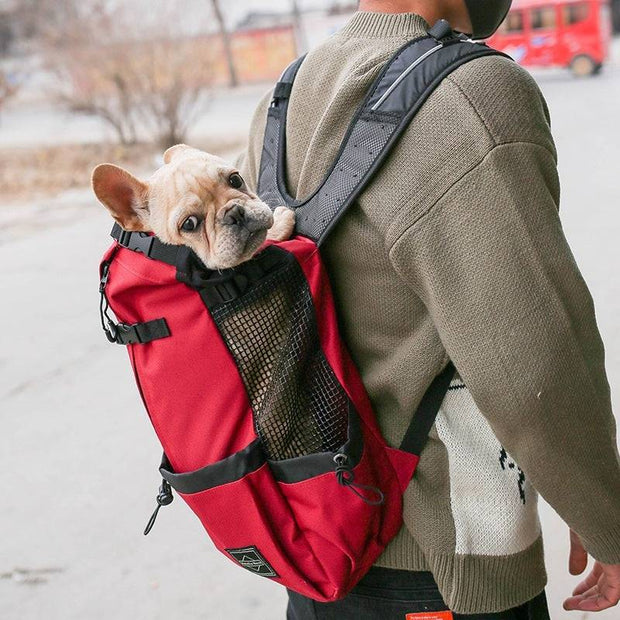 Red Double Shoulder Dog Carrier Backpack with breathable mesh, worn on back carrying a French Bulldog. Perfect for pet transport and hiking trips.