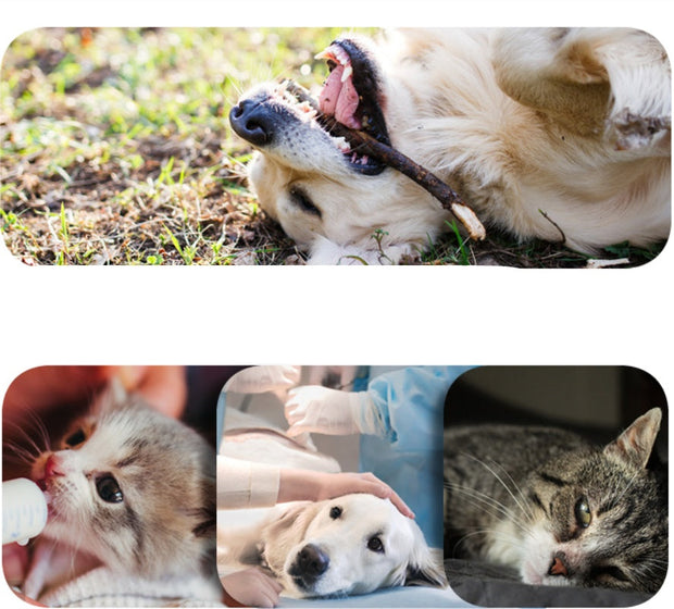 Pet Deodorant Wipes  |    Remove Odors & Freshen Up Dogs and Cats...
