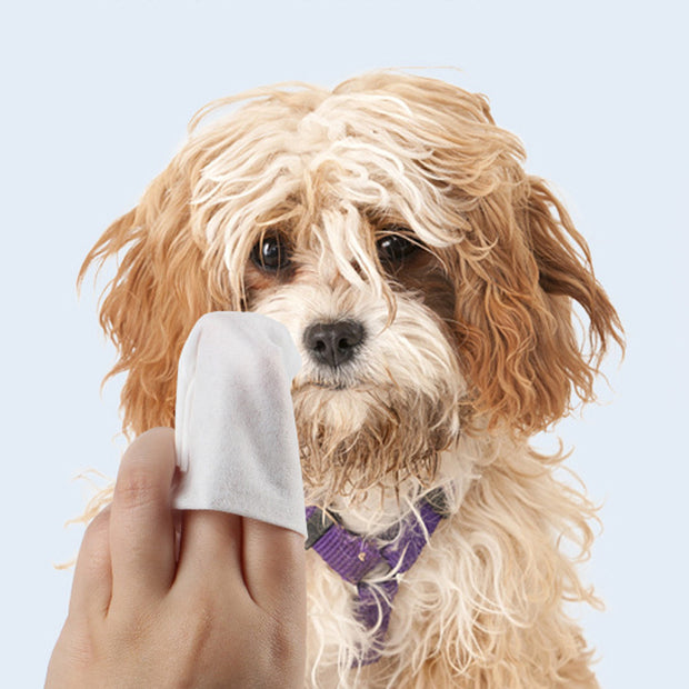 Deodorant Pet Wipes – Tear Care and Freshening Wipes for Dogs and Cats
