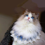 Muppet Cat Lace Bib – Cute Bow Tie Collar for Dogs & Cats like Schnauzers & Teddies