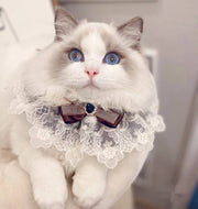 Muppet Cat Lace Bib – Cute Bow Tie Collar for Dogs & Cats like Schnauzers & Teddies