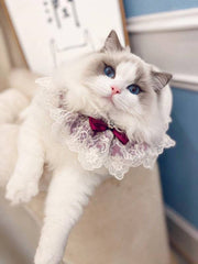 Muppet Cat Lace Bib – Cute Bow Tie Collar for Dogs & Cats like Schnauzers & Teddies