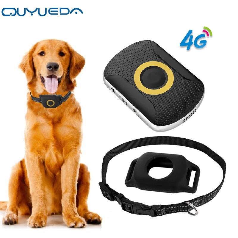 A29 GPS Tracker on a dog collar with 4G connectivity and waterproof design.