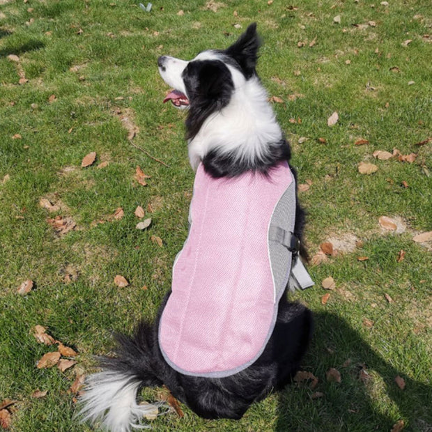 Summer Dog Cooling Vest – Breathable, Lightweight Heat-Relief Jacket for Pets