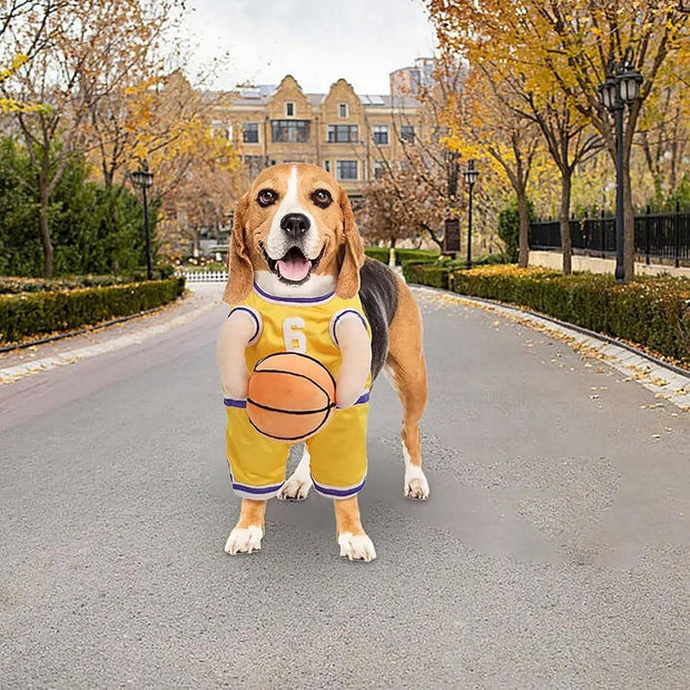 Dog Basketball Costume – Funny Halloween Sports Outfit for Small Dogs