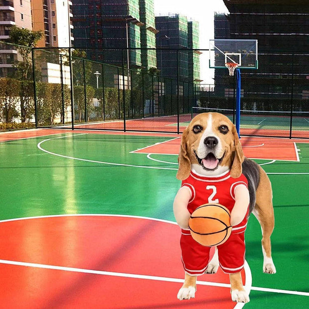 Dog Basketball Costume – Funny Halloween Sports Outfit for Small Dogs