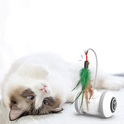 Interactive Cat Toy with Interchangeable Heads – Fun Feather Pet Toy