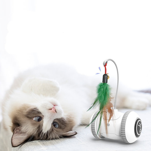 Interactive Cat Toy with Interchangeable Heads – Fun Feather Pet Toy