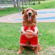Dog Basketball Costume – Funny Halloween Sports Outfit for Small Dogs