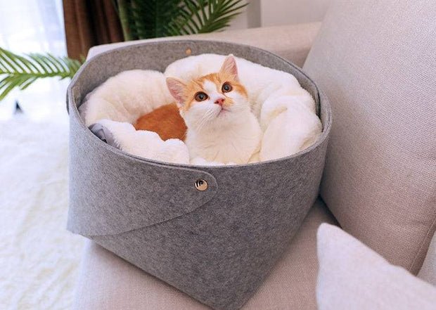 Close-up of fluffy pet bed fabric and texture