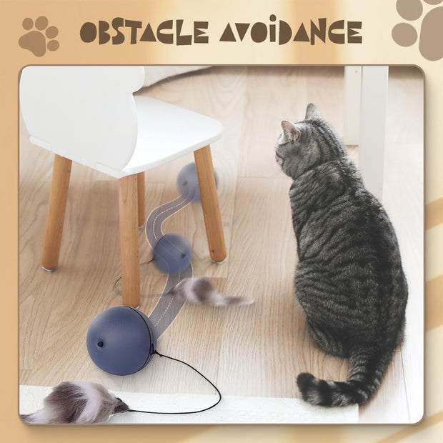 Interactive Cat Ball Toy – Motion-Activated Smart Rolling Ball for Cats & Dogs