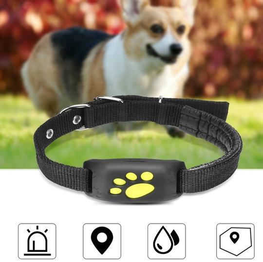 GPS Pet Tracker with paw print design on collar, featuring icons for alarm, location, waterproof, and fence.