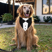 Dog Tuxedo Suit – Adjustable Formal Outfit with Bow Tie & Bandana for Wedding and ceremonies