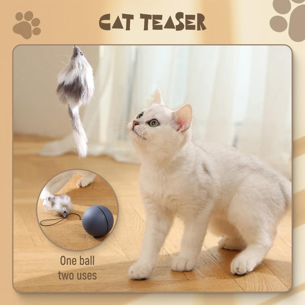 Interactive Cat Ball Toy – Motion-Activated Smart Rolling Ball for Cats & Dogs