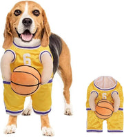 Dog Basketball Costume – Funny Halloween Sports Outfit for Small Dogs