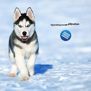 Rechargeable Electric Anti-Bark Dog Collar – Automatic Shock Training Device