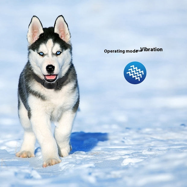 Rechargeable Electric Anti-Bark Dog Collar – Automatic Shock Training Device