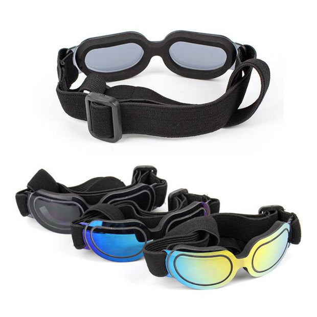 Colorful Pet Sunglasses – Fun and Stylish Glasses for Dogs & Cats