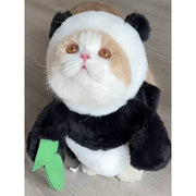 Cute pet bunny costume for cats with carrot and leash


