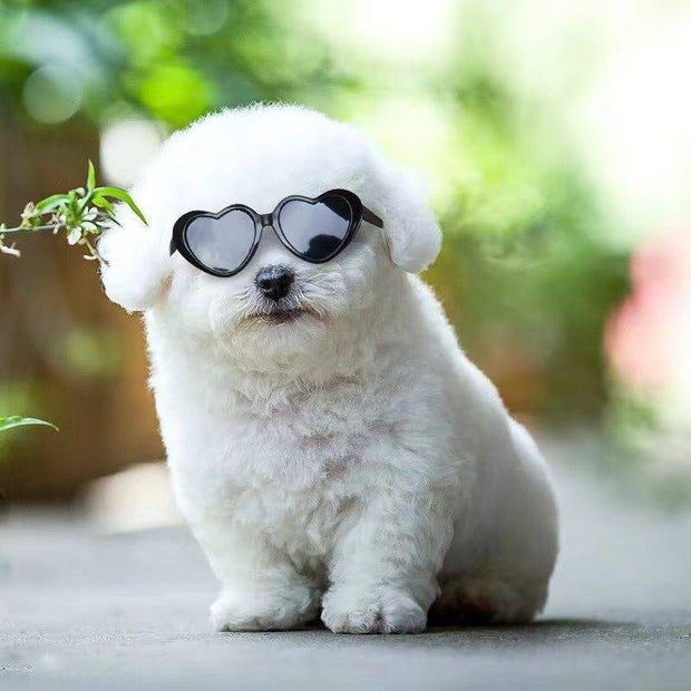 Doll Sunglasses Pet Toy Accessories – Fun and Stylish for Pets