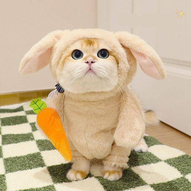 Cat wearing a funny rabbit costume with carrot prop and leash