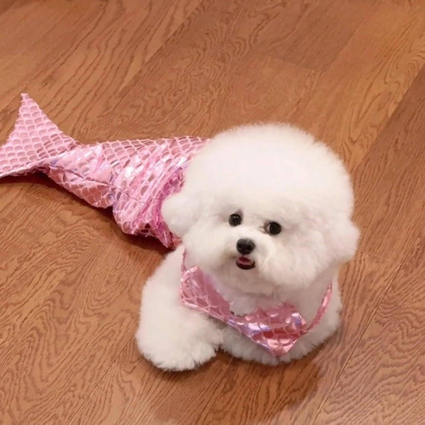 Cat Mermaid Costume Creative Fishtail Dress  Cats & Dogs Funny outfit