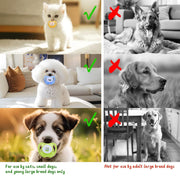 Dog & Kitten Pacifiers – Teething Chew Toys for Puppies and Cats, Pet Essentials