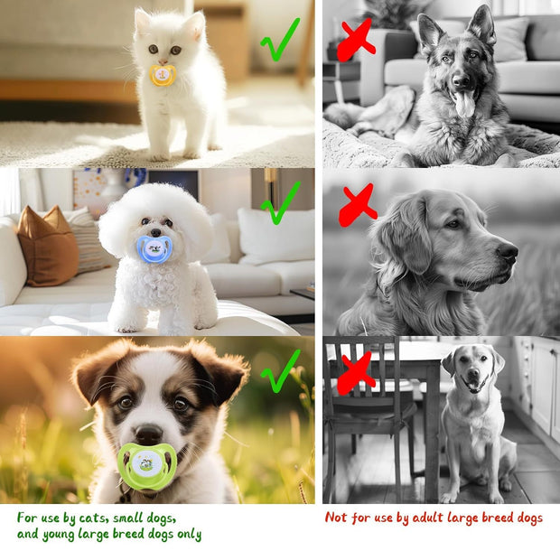 Dog & Kitten Pacifiers – Teething Chew Toys for Puppies and Cats, Pet Essentials