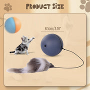 Interactive Cat Ball Toy – Motion-Activated Smart Rolling Ball for Cats & Dogs