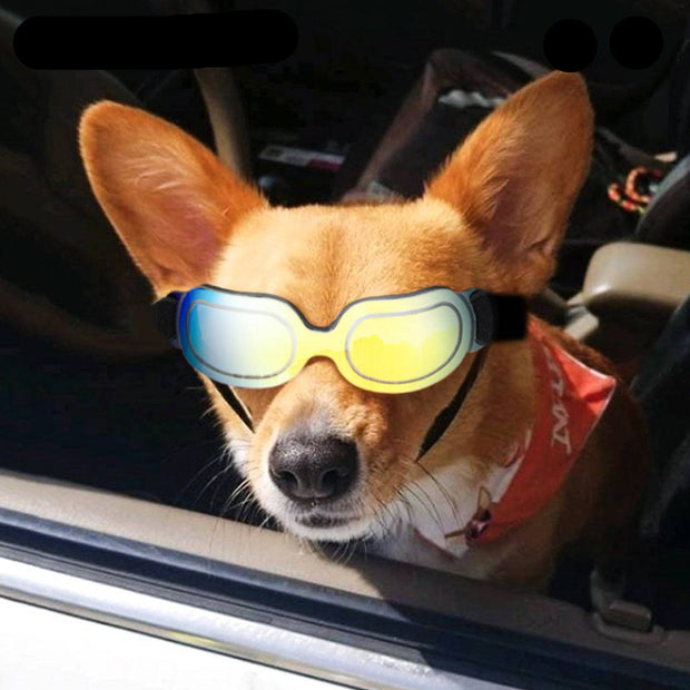 Colorful Pet Sunglasses – Fun and Stylish Glasses for Dogs & Cats
