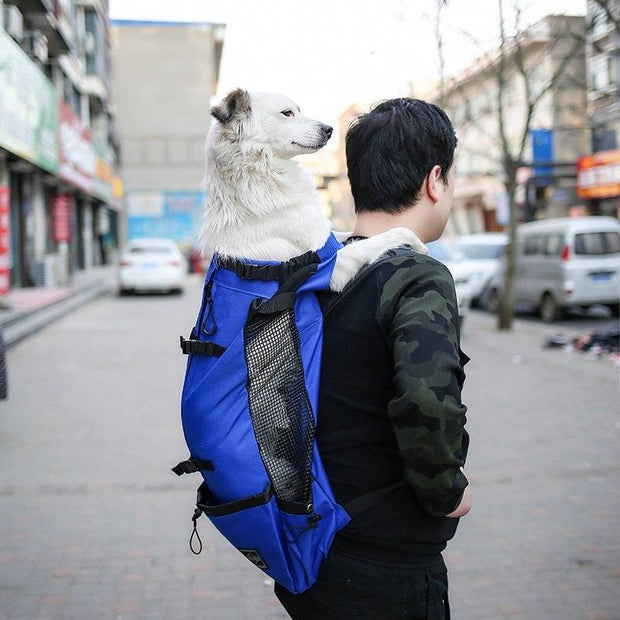 Blue Double Shoulder Dog Carrier Backpack carrying a medium-sized white dog on a man's back. Great for pet travel, hiking, and outdoor adventures.
