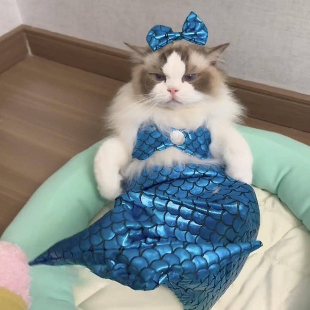 Cat Mermaid Costume Creative Fishtail Dress  Cats & Dogs Funny outfit