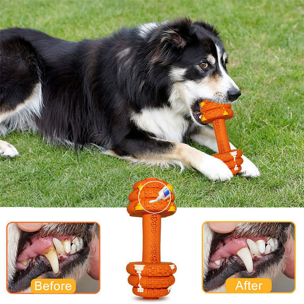 Durable dog chew toy used by large black and white dog, with before and after tooth cleaning images.