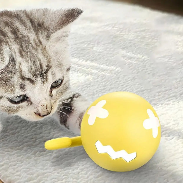 Smart Interactive Cat Toy Ball – USB Rechargeable Rolling Self-Play Toy