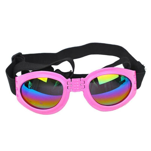 Pet Sunglasses – Stylish Glasses & Sun Visor for Dogs and Cats