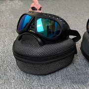Colorful Pet Sunglasses – Fun & Stylish Glasses for Dogs and Cats