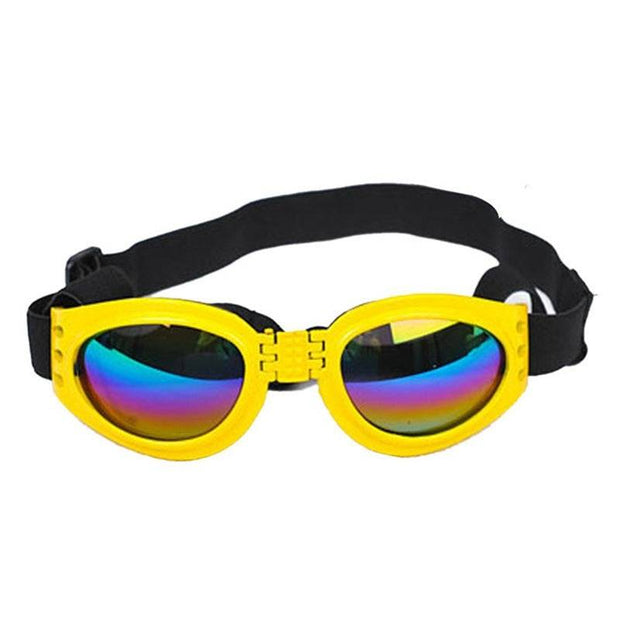 Pet Sunglasses – Stylish Glasses & Sun Visor for Dogs and Cats