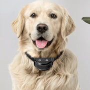 Rechargeable Electric Anti-Bark Dog Collar – Automatic Shock Training Device