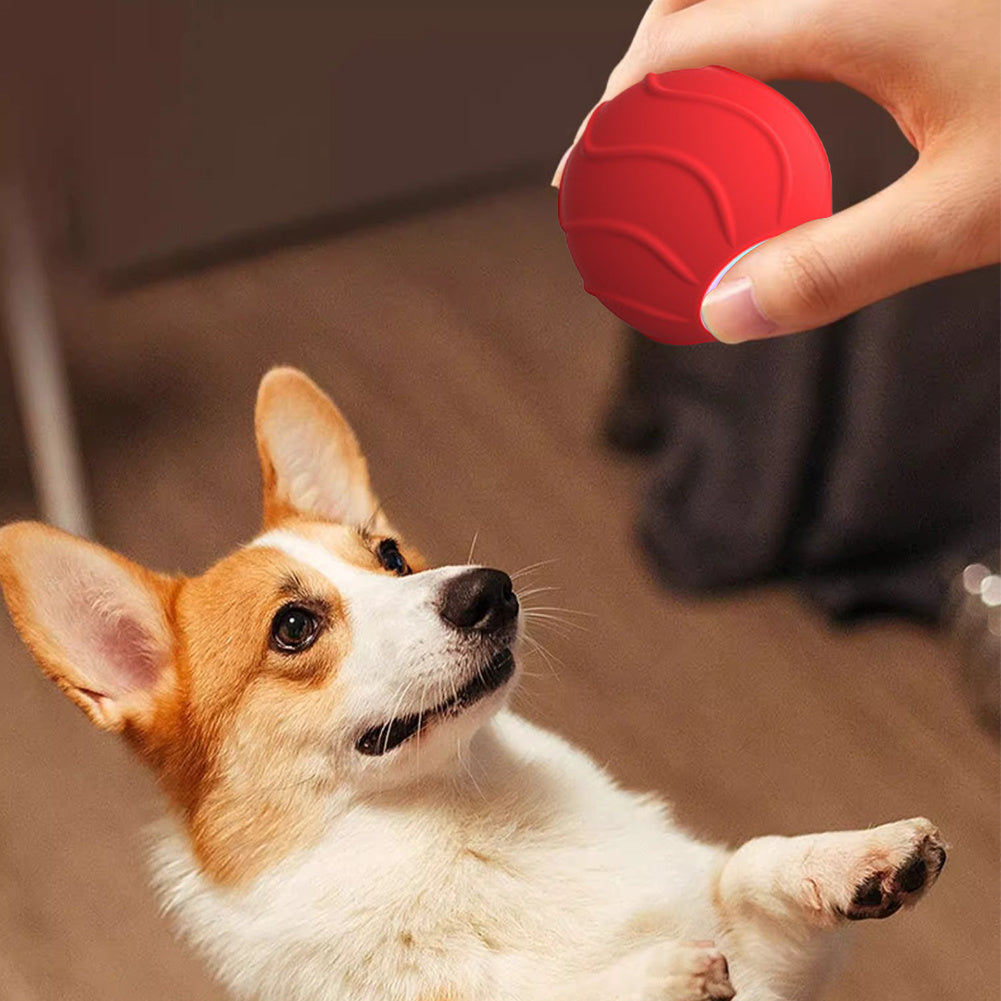Automatic bouncing ball toy for cats, designed for interactive play and exercise.