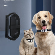 Pet wearing HD mini camera collar with magnetic suction for recording.